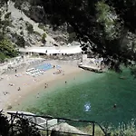 Andrea 1